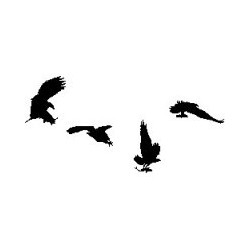 Vogelmotive zum Schutz der Vögel 300 x 300mm, schwarz