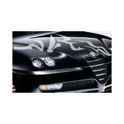 Autoaufkleber für Haube